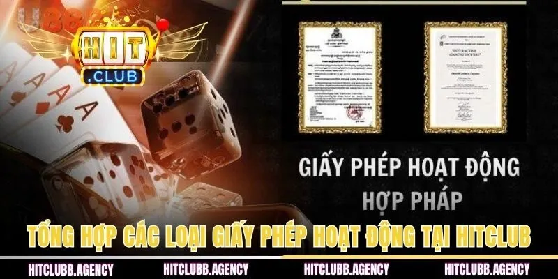Tổng hợp các loại giấy phép hoạt động tại HITCLUB