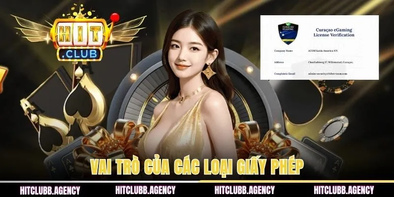 Vai trò của các loại giấy phép